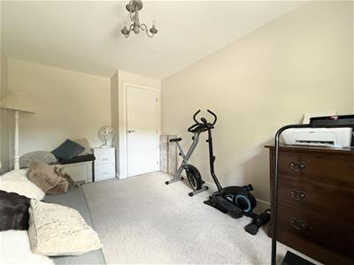 Picture 23